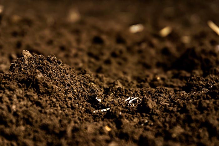 healthy-soil-matter